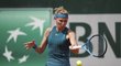 Lucie Šafářová v souboji s Karolínou Plíškovou na French Open