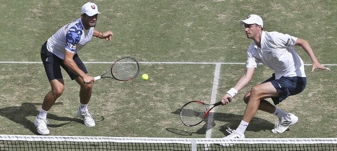Slovenští tenisté potřetí za sebou neuspěli v daviscupové baráži
