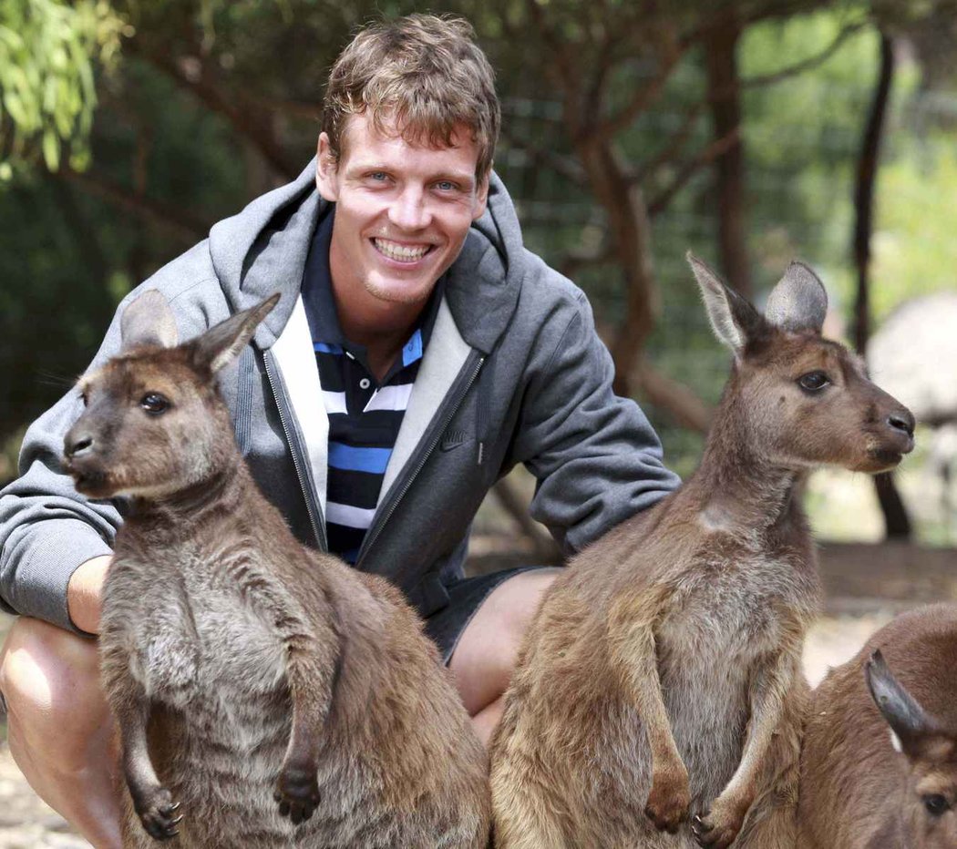 Český tenista Tomáš Berdych mezi klokany v melbournské zoo