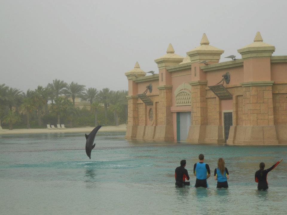 Tomáš Berdych vyrazil v Dubaji místo tréninku do delfinária, které se stylizuje do podoby středověké tvrze