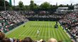 Popularita tenisového Wimbledonu se drží stále vysoko, travnatý povrch se zamlouvá velkému počtu hráčů