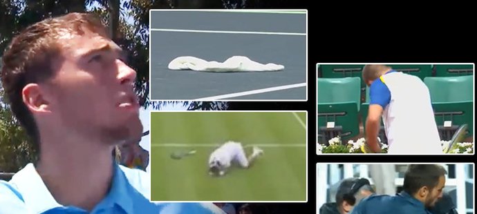 Ukradený kameraman, rozmlácené rakety i ponožky na kurtu, to byl rok tenisových bouřliváků