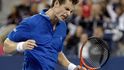 Jak si povede při letošním Wimbledonu.