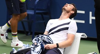 Murray dál odmítá svůj pohřeb. Příběh statečného dříče ožil na US Open