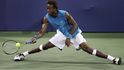 Gael Monfils