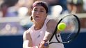 Karolína Muchová nestačila na Emmu Navarrovou a na US Open končí