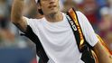 Tommy Haas