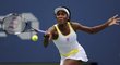 Venus Williams