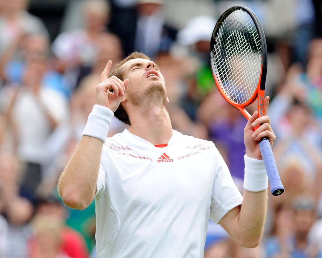 Andy Murray slaví postup do semifinále Wimbledonu po výhře nad Davidem Ferrerem