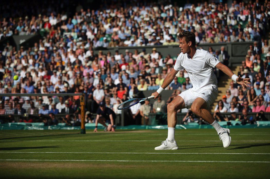 Tomáš Berdych na Wimbledonu