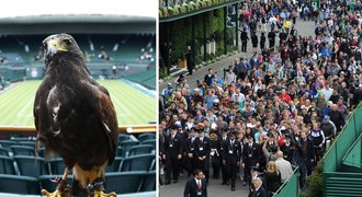 Nej fotky z Wimbledonu: Davy fanoušků i pečlivý dohled jestřába