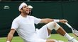 Argentinec Juan Martín del Potro postoupil do semifinále Wimbledonu a to i navzdory zranění. Vyřadil španělského tenistu Ferrera po výsledku 6:2, 6:4 a 7:6