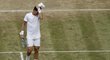 Smutný Tomáš Berdych. Finále Wimbledonu bude bez něj