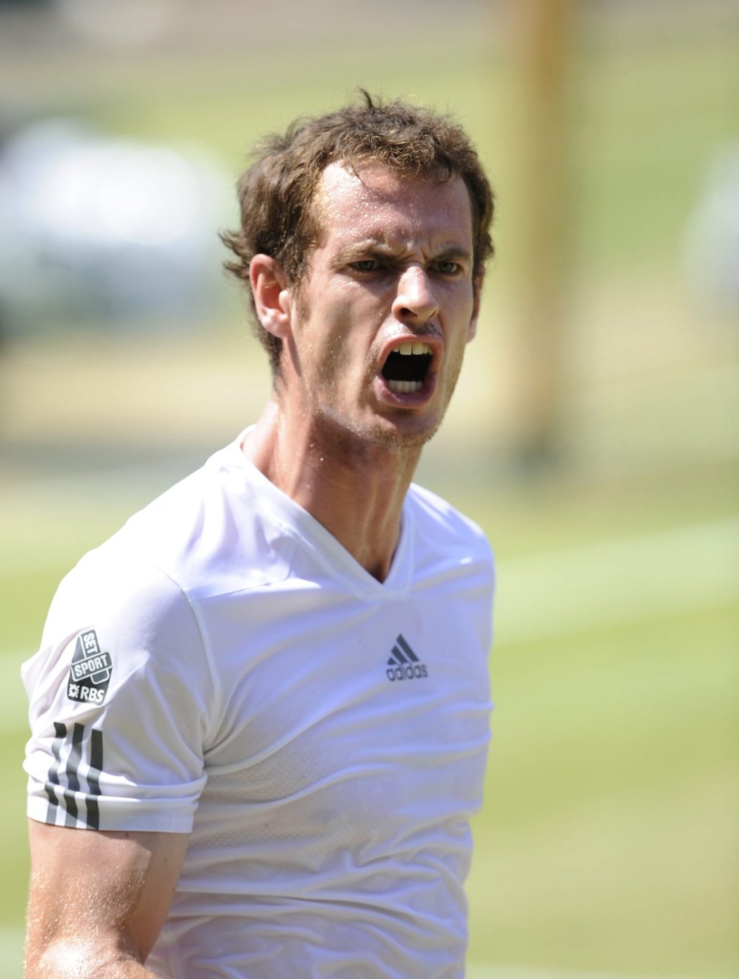 Brit Andy Murray bojoval ve finále dvouhry Wimbledonu se světovou jedničkou, Srbem Novakem Djokovičem. Zápas byl plný emocí.