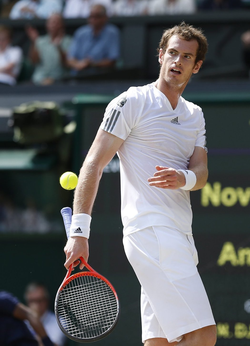 Brit Andy Murray bojoval ve finále dvouhry Wimbledonu se světovou jedničkou, Srbem Novakem Djokovičem. Zápas byl plný emocí.