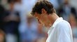 Tomáš Berdych si smutně prohlíží talíř pro poraženého finalistu Wimbledonu