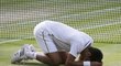 Novak Djokovič vstřebává první pocity po finálovém triumfu nad Rogerem Federerem