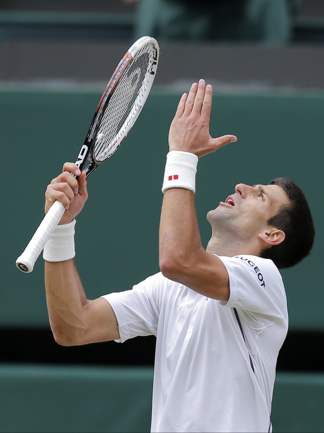 Novak Djokovič se domáhá pomoci z vyšších míst ve finále Wimbledonu proti Federerovi