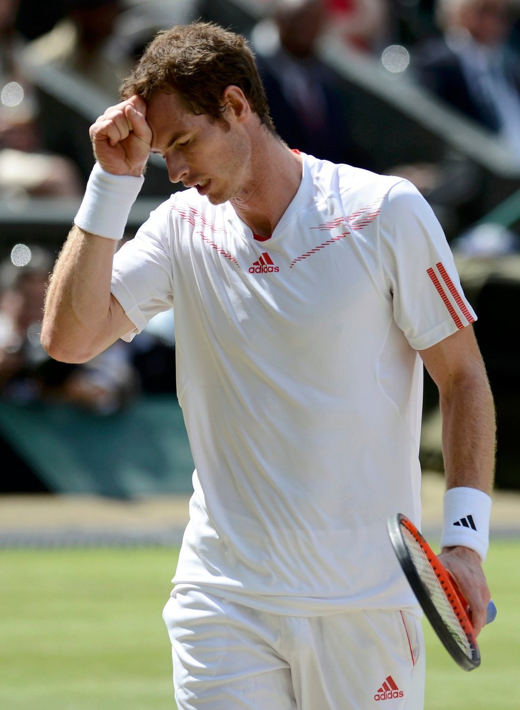 Andy Murray se bouchá do hlavy po promarněné příležitosti ve finále Wimbledonu proti Rogeru Federerovi