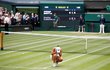Šťastná vítězka Wimbledonu 2021 Ashleigh Bartyová