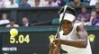 Venus Williams Kvitovou nepřehrála snadno