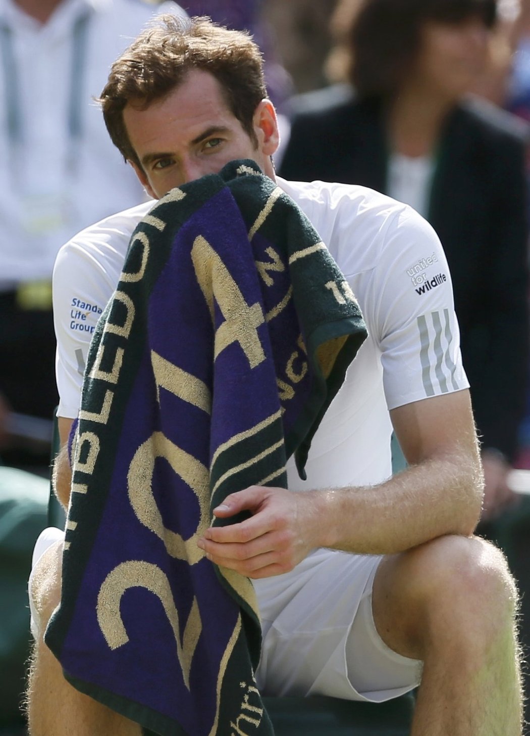 Britský tenista Andy Murray loňské vítězství ve Wimbledonu neobhájí. Třetí nasazený hráč dnes ve čtvrtfinále podlehl Bulharovi Grigoru Dimitrovovi 1:6, 6:7 a 2:6. Dimitrov se probojoval do semifinále grandslamového turnaje poprvé v kariéře.