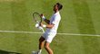 Novak Djokovič slaví postup do finále Wimbledonu