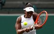 Sloane Stephensová v prvním kole Wimbledonu proti Petře Kvitové