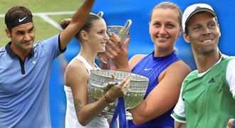 Wimbledon snů. České ambice na finále, oživení Berdycha i návrat krále