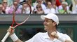 Tomáš Berdych slaví postup do finále Wimbledonu
