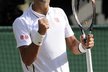 Novak Djokovič se nadřel, ale nakonec Del Potra zdolal a může slavit postup do finále Wimbledonu
