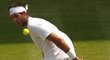 Del Potro si v semifinále Wimbledonu proti Novaku Djokovičovi střihnul i tenhle exhibiční úder