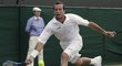 Radek Štěpánek v osmifinále Wimbledonu proti Australanu Lleytonu Hewittovi