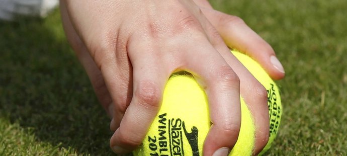 Pečlivě zastřižený trávník ve Wimbledonu