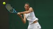 Karolína Plíšková se v osmifinále Wimbledonu utkala s Kiki Bertensovou z Nizozemska