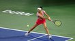 Sie Šu-wej z Tchaj-wanu v Dubaji končí v semifinále