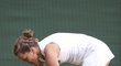 Na trávě v All England porazila mimo jiné světovou dvojku Číňanku Li Na a bývalou světovou jedničku Caroline Wozniackou z Dánska