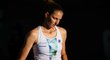 Karolína Plíšková v generálce Australian Open vypadla s Daniellou Collinsovou