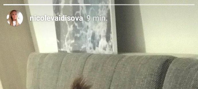 Tenistu Radka Štěpánka vyfotila jeho exmanželka Nicole Vaidišová u sebe doma se svým mazlíčkem