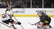 Hokejisté Vegas porazili v přípravném utkání na NHL Arizonu 7:2