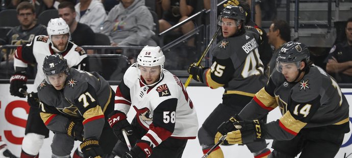 Hokejisté Vegas porazili v přípravném utkání na NHL Arizonu 7:2.