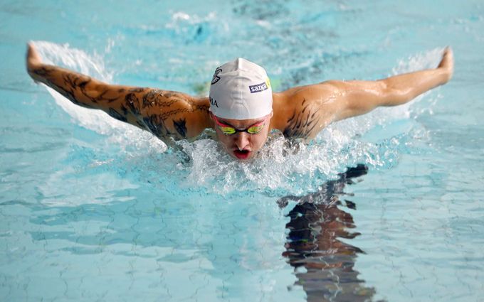 Zákulisí plaveckých závodů: Co nevidíte v televizi. Proč je nejdůležitější akreditace? Zákulisí plaveckých závodů: Co nevidíte v televizi. Proč je nejdůležitější akreditace?