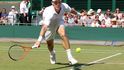 Tomáš Berdych ve Wimbledonu postoupil až do čtvrtfinále. V něm ho ale čeká Federer.