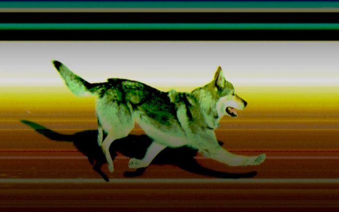 ONLINE 12. dne ZOH: Pes narušil týmový sprint žen, Shiffrinová zvládla první kolo slalomu ONLINE 12. dne ZOH: Pes narušil týmový sprint žen, Shiffrinová zvládla první kolo slalomu