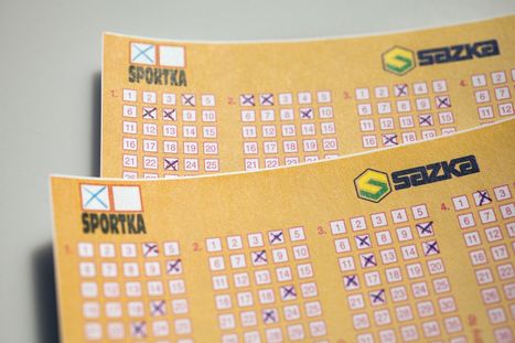 Obrázek: Čech trefil pohádkový jackpot: O výhře 45 milionů ani nevěděl!