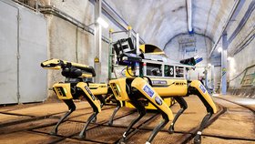 Roboti Spot mapují pražské podzemí kolektorů