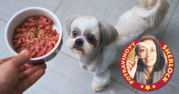 Testovali jsme konzervy pro psy: Které jsou nejchutnější? Prodávají se i zkažené?