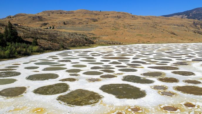 Spotted Lake je minerální jezero, které je bohaté mimo jiné na vápník, sírany sodné a síran hořečnatý. Spotted Lake je minerální jezero, které je bohaté mimo jiné na vápník, sírany sodné a síran hořečnatý.
