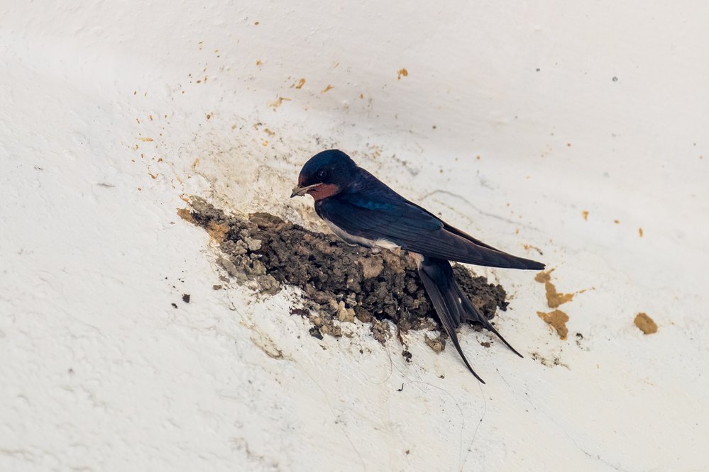 Spraš je zemský sediment složený převážně takzvaného eolického prachu