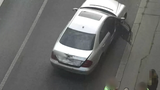 VIDEO: Muž v autě bez SPZ a se zákazem řízení se projížděl v Holešovicích. Neměl ani doklady od auta